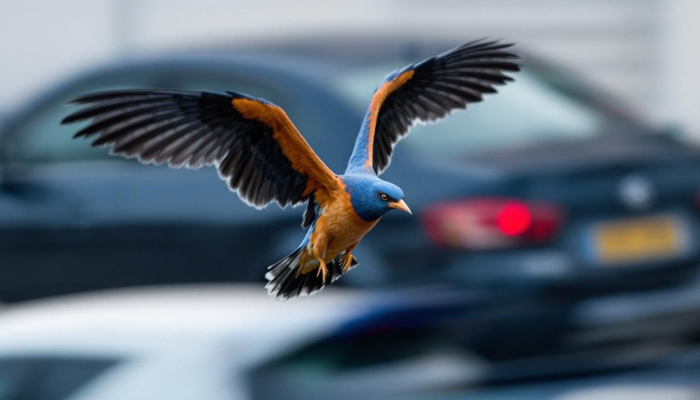 Strategies To Win In Competitive Bird Versus Vehicle Games